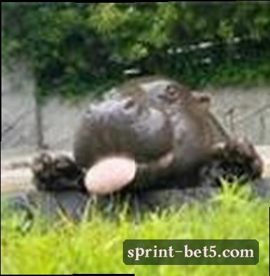 王芳
